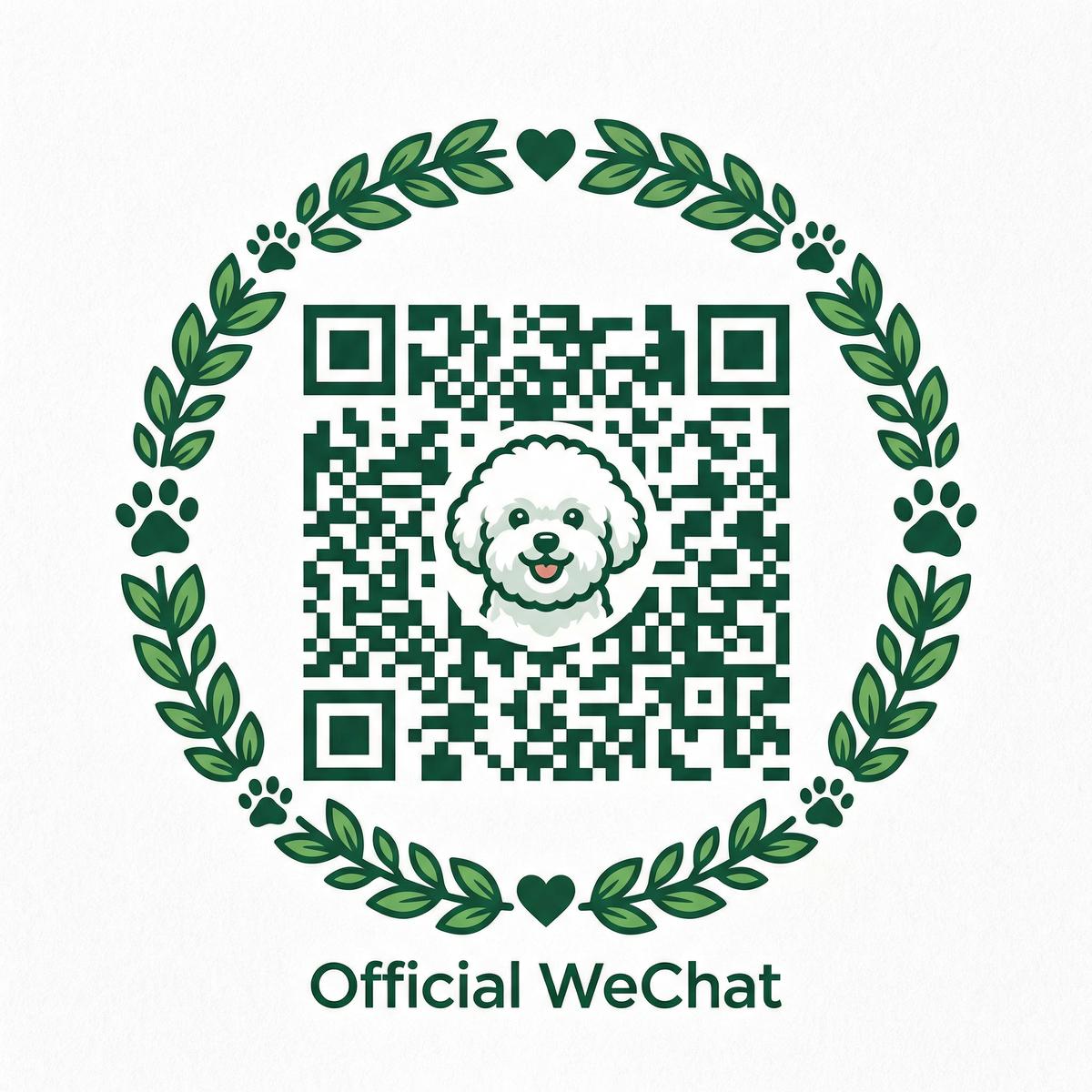 国产主播公众号二维码